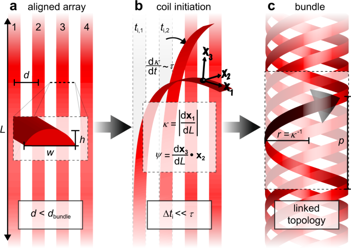 Map3D - 3D non-linear pillar response