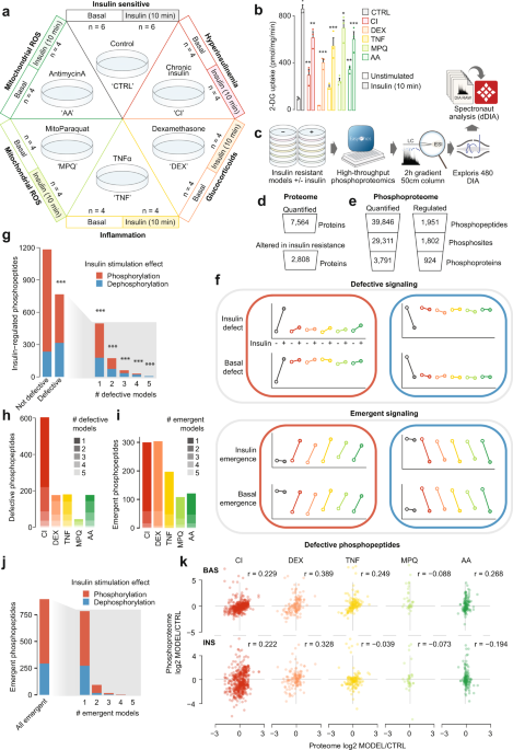 Phosphoproteomics reveals rewiring of the insulin signaling network and multi-nodal defects in insulin resistance