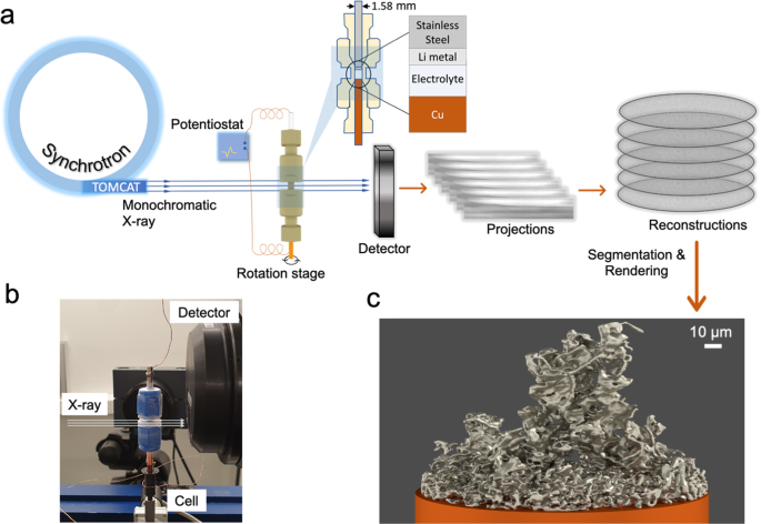 Investigating microstructure evolution of lithium metal during plating and stripping via operando X-ray tomographic microscopy... 