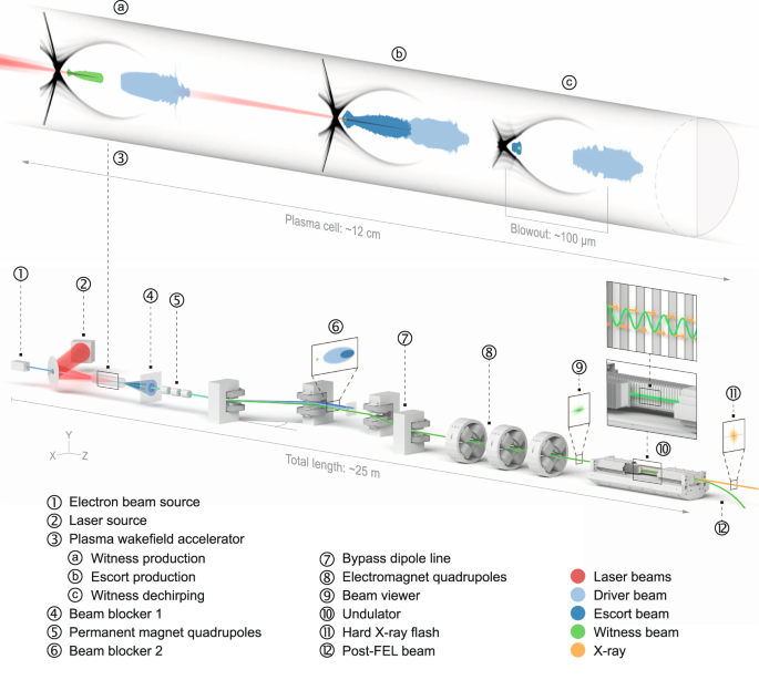 Evolution of the longitudinal phase space in HGHG scheme: (a) before