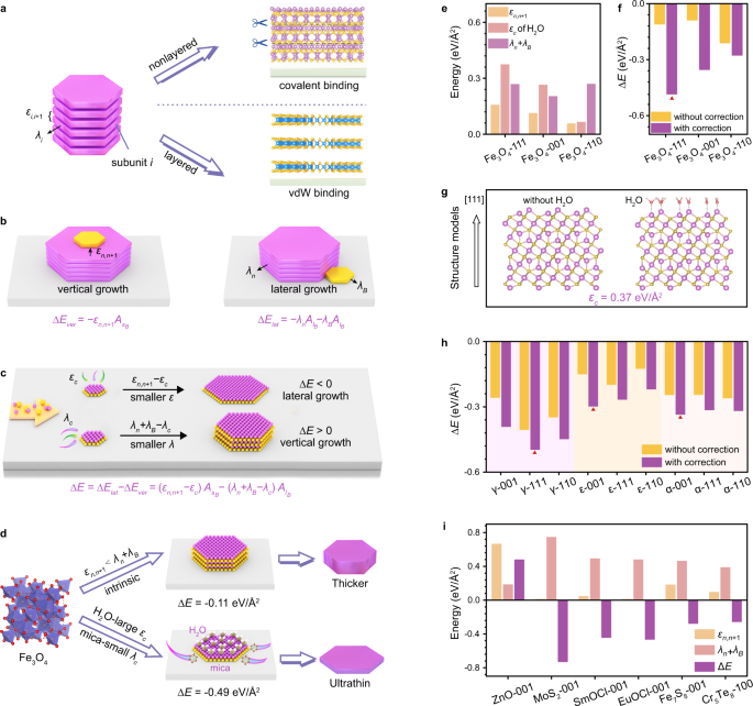 A general thermodynamics-triggered competitive growth model to 