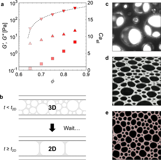 viscoelastic foam microscopic structure diagram