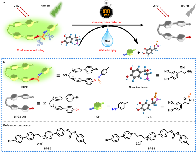 Reconstructing Soma–Soma Synapse-like Vesicular Exocytosis with DNA Origami