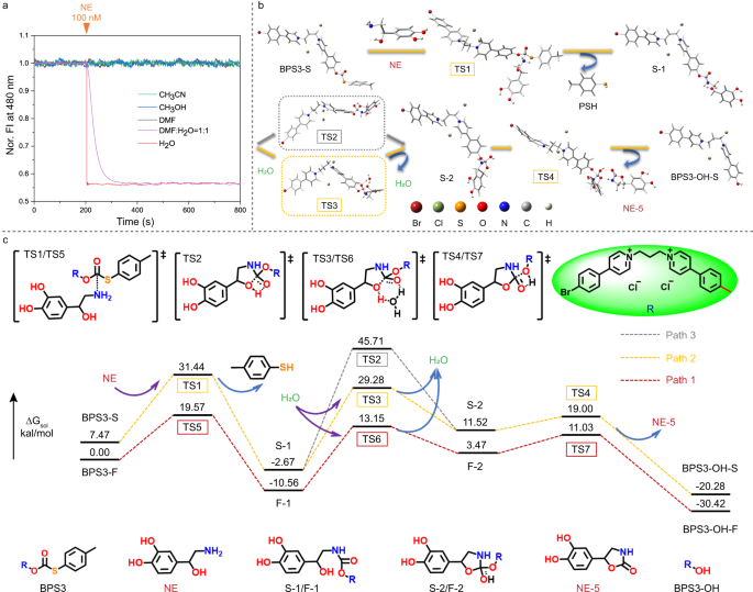 Reconstructing Soma–Soma Synapse-like Vesicular Exocytosis with DNA Origami