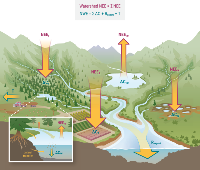 CO2 evasion along streams driven by groundwater inputs and geomorphic  controls