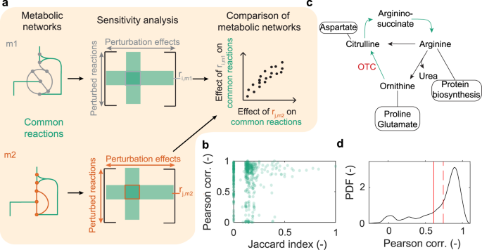 Functional analysis is one level of the analyses within Work