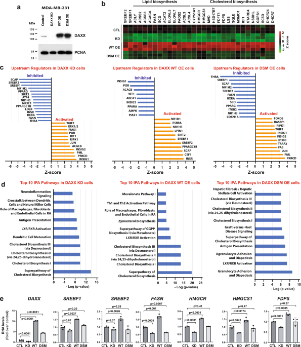 (PDF) Identification of de novo EP300 and PLAU variants in a