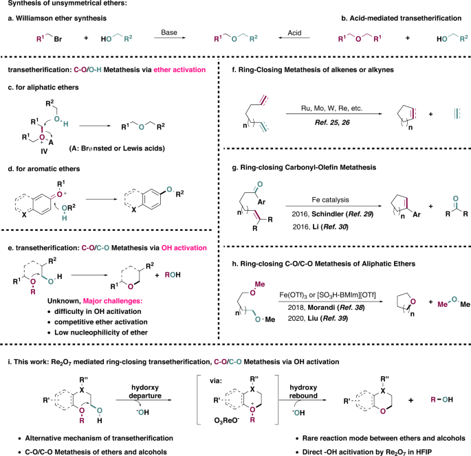 Ring-closing-metathesis-based synthesis of annellated coumarins from  8-allylcoumarins