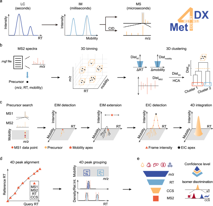 Multidimensional LC Separations in Shotgun Proteomics