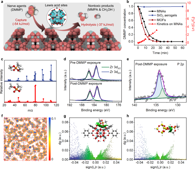 https://media.springernature.com/m685/springer-static/image/art%3A10.1038%2Fs41467-023-37693-5/MediaObjects/41467_2023_37693_Fig4_HTML.png