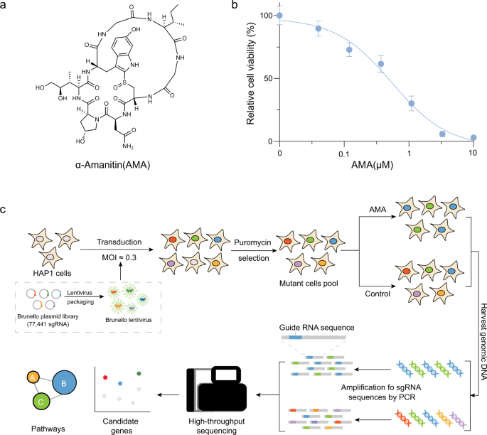 https://media.springernature.com/m685/springer-static/image/art%3A10.1038%2Fs41467-023-37714-3/MediaObjects/41467_2023_37714_Fig1_HTML.png