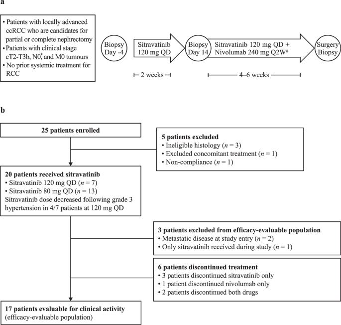 Schema of patients in the study.