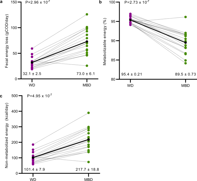 Sugar Shapewear Power Curves