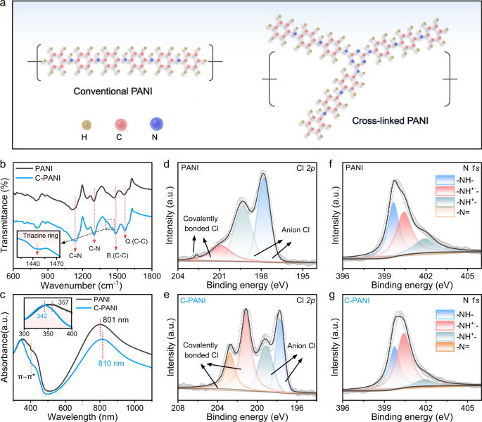 Cyclic voltammograms of electrochemical synthesized PANI on mild