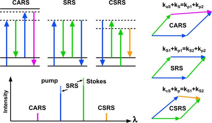 Coherent Stokes Raman scattering microscopy (CSRS) | Nature Communications