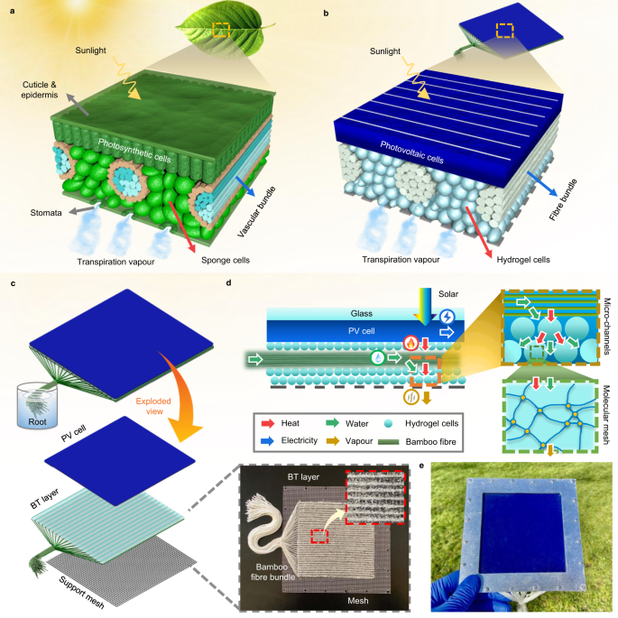 High-efficiency bio-inspired hybrid multi-generation photovoltaic