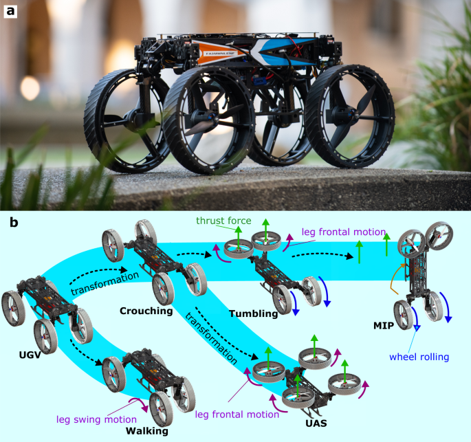 Same Object, Different Form Factors: Designs for Automatic Pot