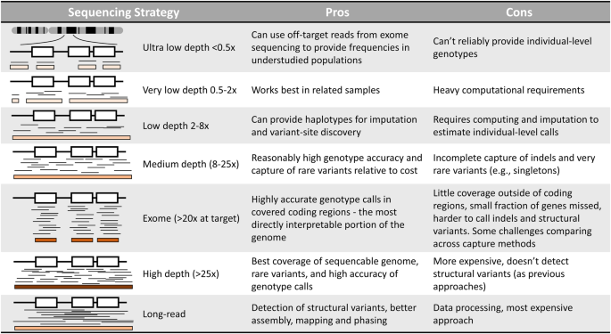 Unravelling the genetic architecture of human complex traits 