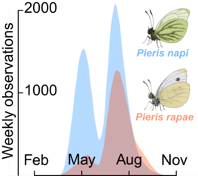 exploring-the-7-years-cycles-of-life