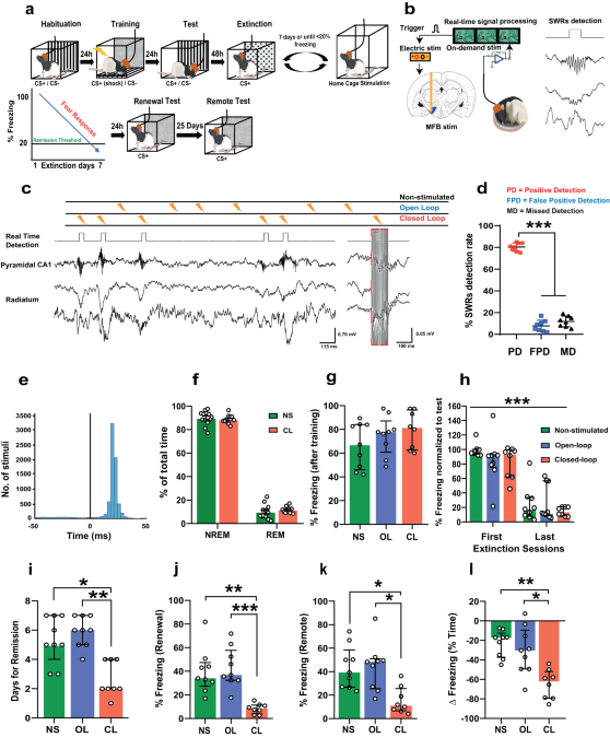 Closed-loop brain stimulation augments fear extinction in male rats