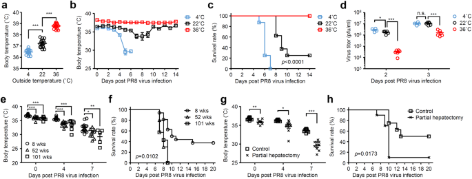 High body temperature increases gut microbiota-dependent host resistance to  influenza A virus and SARS-CoV-2 infection