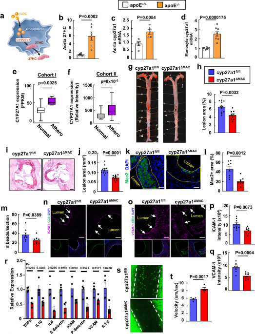 PDF) Abstract A74: Microparticles mediate cross-talk between tumoral and  endothelial cells and promote the constitution of an angiocrine  pro-metastatic niche through Arf6 up regulation