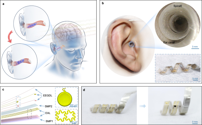 Conformal in-ear bioelectronics for visual and auditory brain
