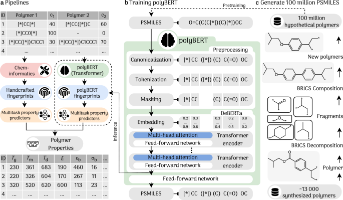 polyBERT: a chemical language model to enable fully machine-driven  ultrafast polymer informatics