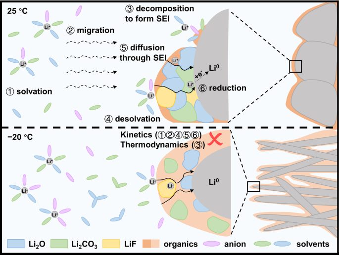 Temperature-dependent interphase formation and Li+ transport in 