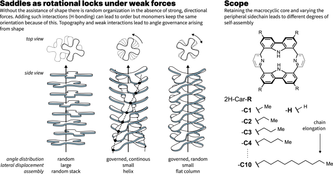 Saddles as rotational locks within shape-assisted self-assembled nanosheets