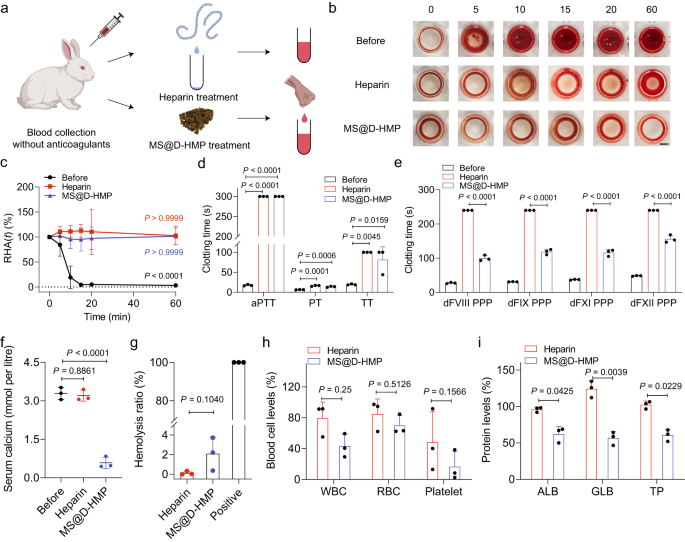 Anticoagulant Macromolecules