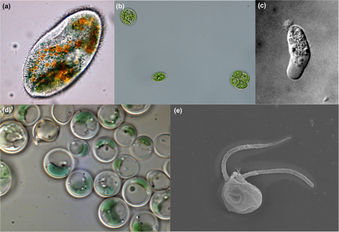 Genome Biology