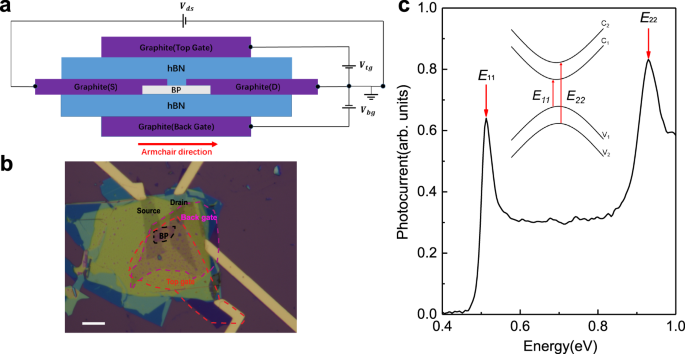 Layer-dependent exciton polarizability and the brightening of dark excitons in few-layer black phosphorus