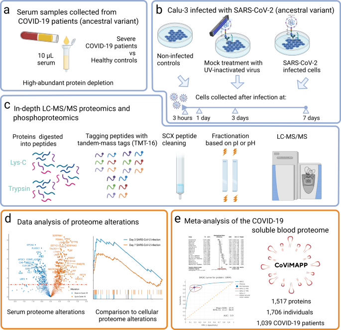 Evaluation of Spin Columns for Human Plasma Depletion to Facilitate  MS-Based Proteomics Analysis of Plasma