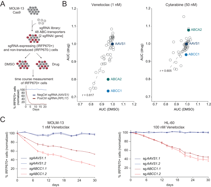 ABCC1 and glutathione metabolism limit the efficacy of BCL-2 inhibitors in  acute myeloid leukemia | Nature Communications