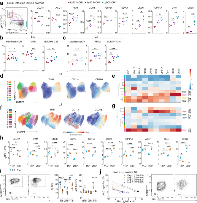 Metabolism of tissue macrophages in homeostasis and pathology