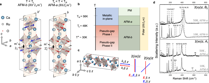 Robust estimation of vertical symmetry axis models via joint