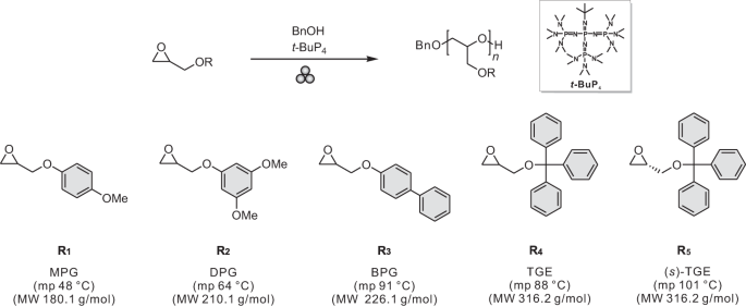 Polymers | Free Full-Text | Ring-Opening Polymerization (ROP) and Catalytic  Rearrangement as a Way to Obtain Siloxane Mono- and Telechelics, as Well as  Well-Organized Branching Centers: History and Prospects