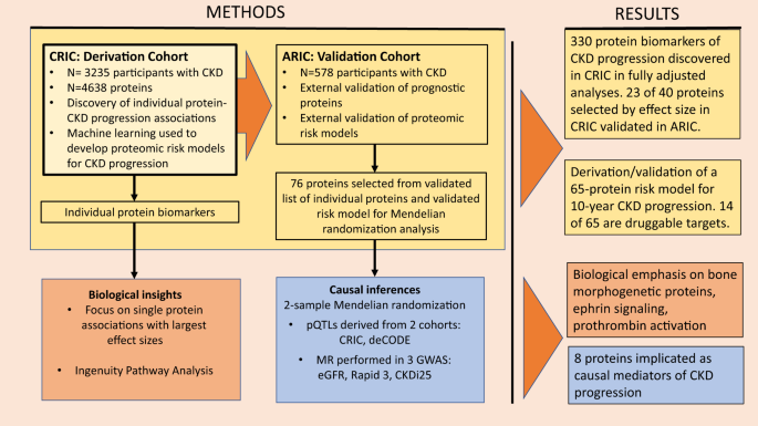 Proteomics of CKD progression in the chronic renal insufficiency cohort