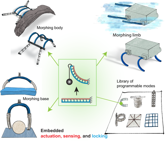 Shape morphing smart 3D actuator materials for micro soft robot