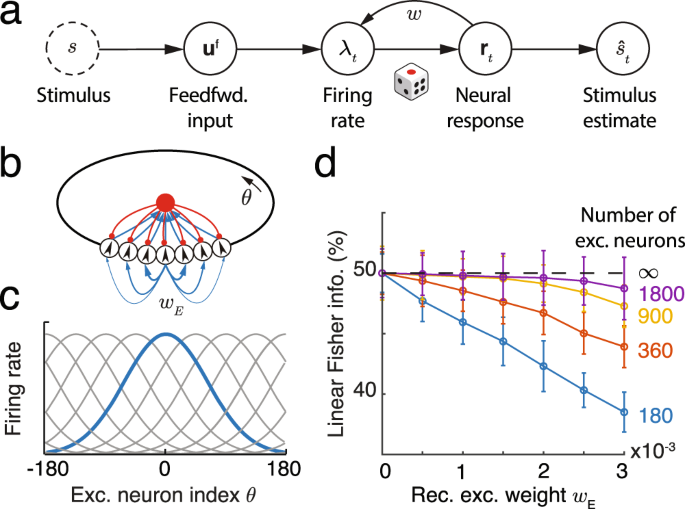 Global organization of neuronal activity only requires unstructured local  connectivity