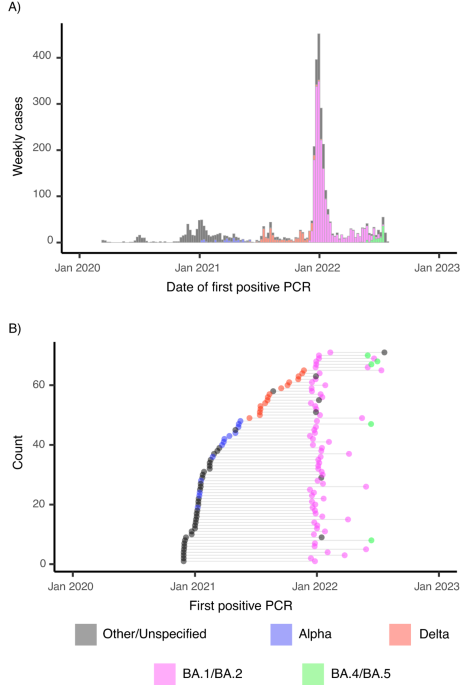 Viral kinetics of sequential SARS-CoV-2 infections