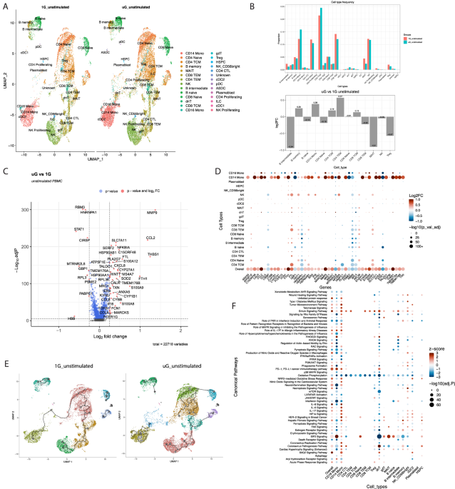 Single-cell analysis identifies conserved features of immune dysfunction in simulated microgravity and spaceflight