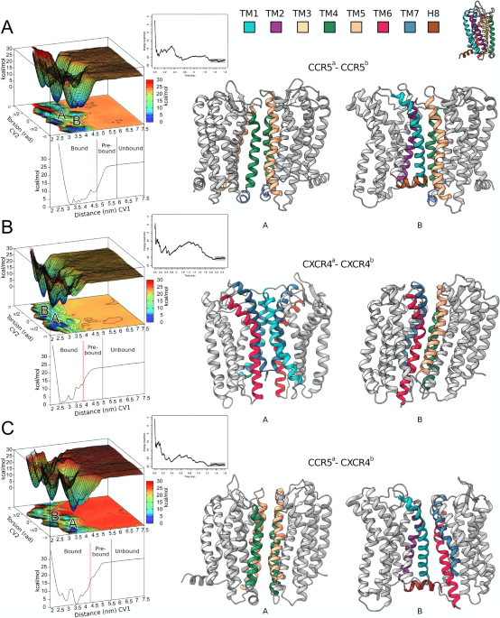 TRIBLE SIX 4 Pcs 5 x 4.5~5 x 4.5 Wheel Adapters Spacers 5 x 114.3 mm Replacement for 1991 92 93 94 95 96 97 98 99 00 01 02 03 04 05 07 08 09 2010 TRIBLE SIX 4Pcs 5x4.5\u0027\u0027 to 5x4.75\u0027\u0027 Wheel Spacers 1\" 25mm 5x114