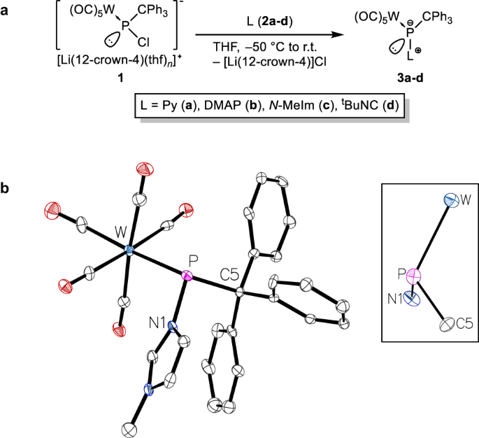 Electronic Structure and Reactivity of the Carbyne-Bridged