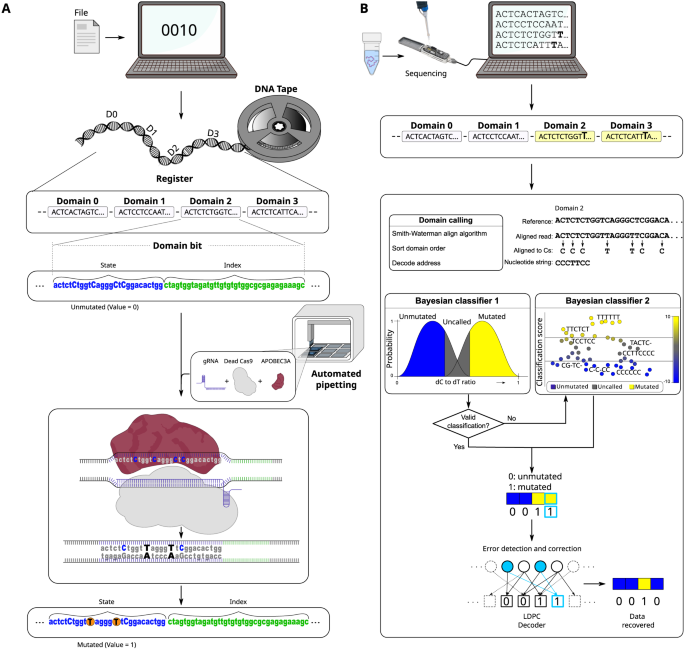 DNA sample analysis times dramatically reduced thanks to new file format