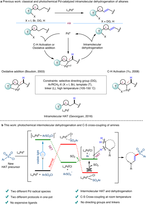 Mechanistic insights into excited-state palladium catalysis for C–S bond  formations and dehydrogenative sulfonylation of amines | Nature  Communications