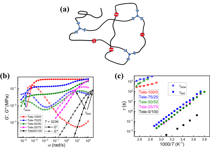 Polymer architecture dictates multiple relaxation processes in soft  networks with two orthogonal dynamic bonds