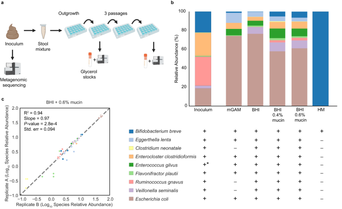 Infant microbiome cultivation and metagenomic analysis reveal  Bifidobacterium 2'-fucosyllactose utilization can be facilitated by  coexisting species