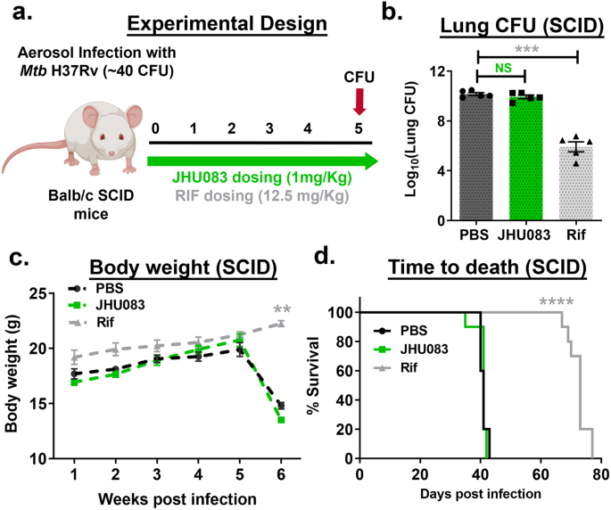 https://media.springernature.com/m685/springer-static/image/art%3A10.1038%2Fs41467-023-43304-0/MediaObjects/41467_2023_43304_Fig3_HTML.png